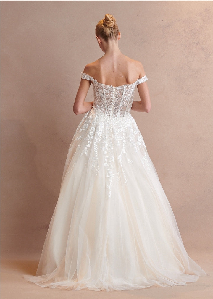 Bicici & Coty LSW2024