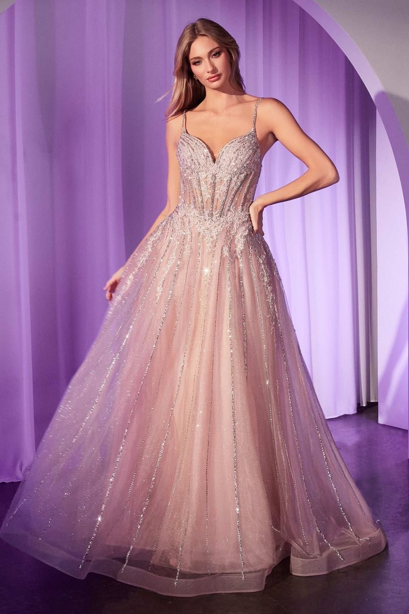 La Divine CD786 - A-Line Tulle Dress