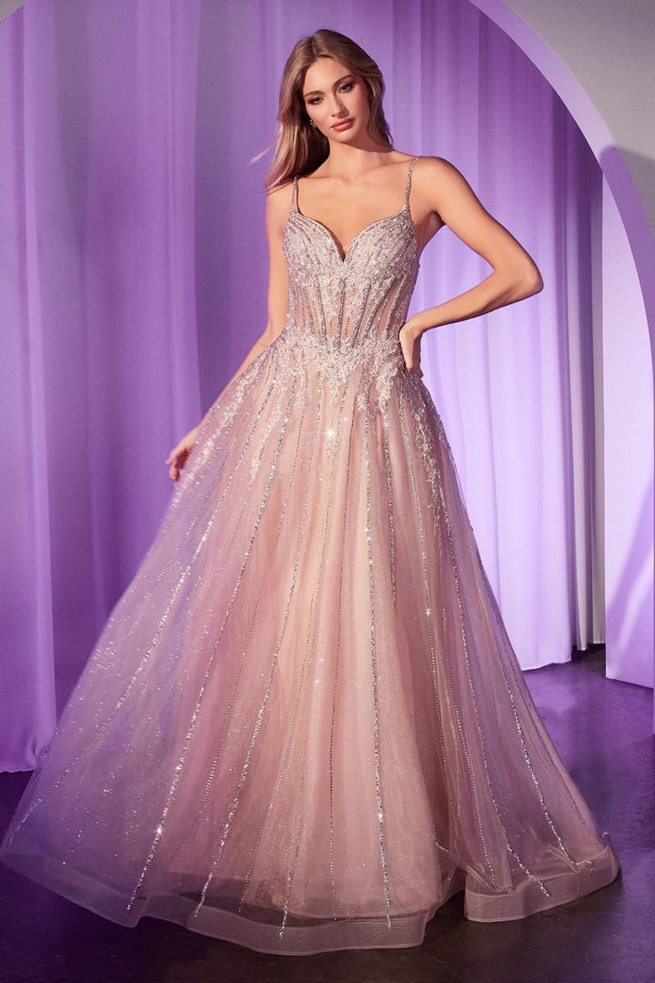La Divine CD786 - A-Line Tulle Dress