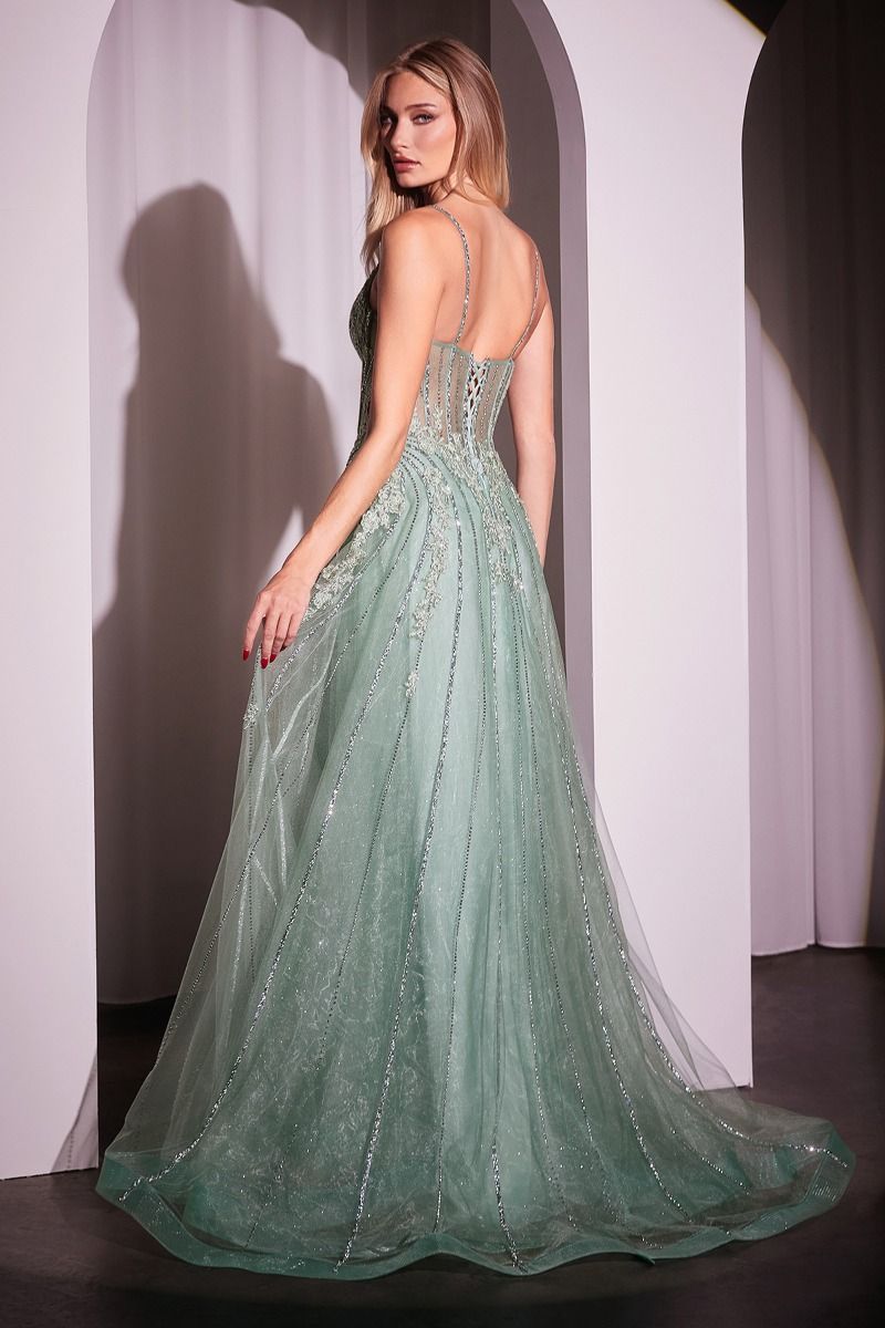 La Divine CD786 - A-Line Tulle Dress