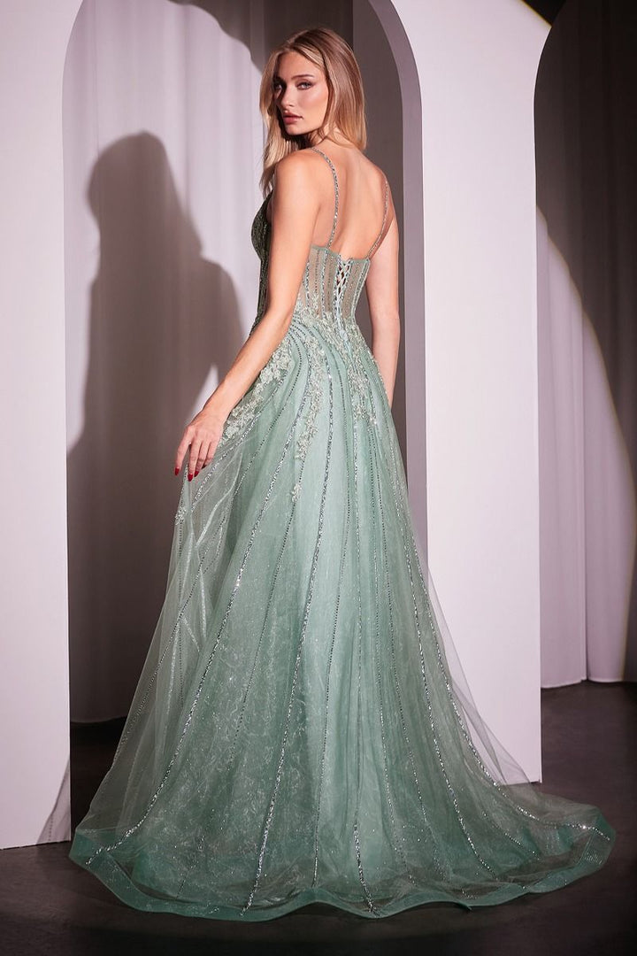 La Divine CD786 - A-Line Tulle Dress
