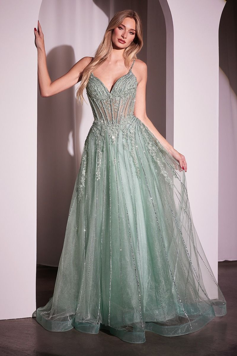 La Divine CD786 A-Line Tulle Dress