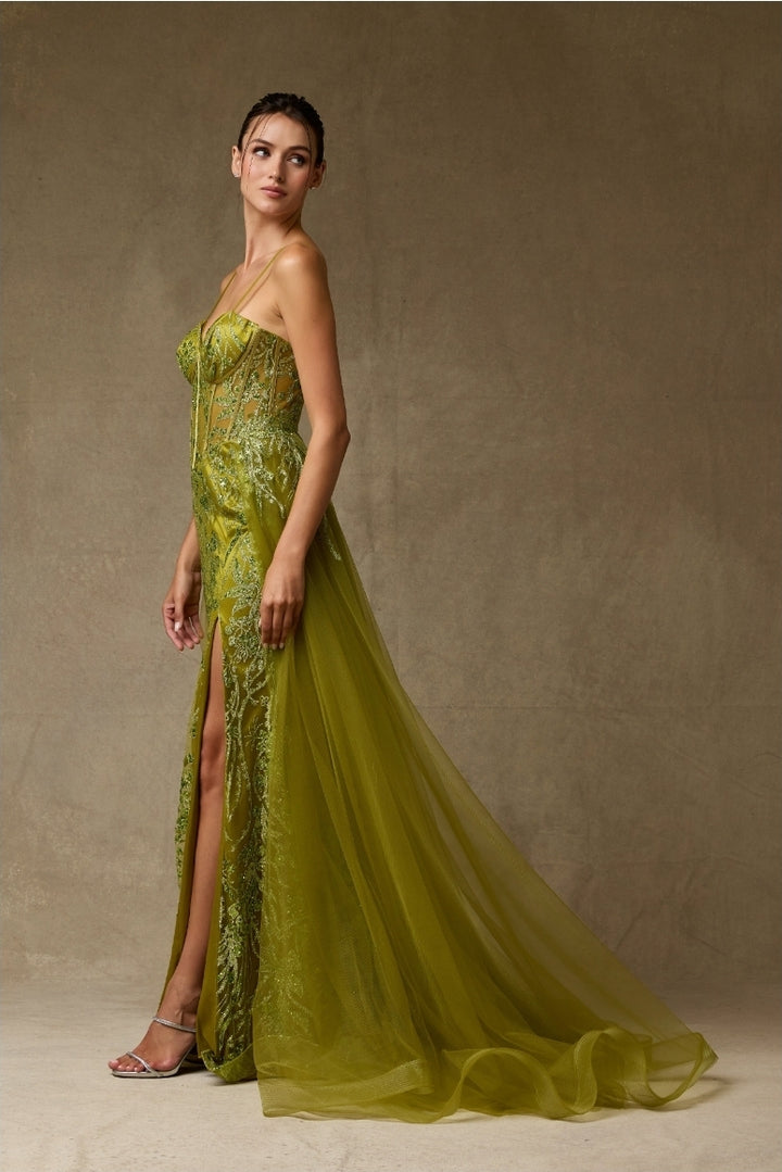 Bicici & Coty MZ5338 - Overskirt Corset Gown