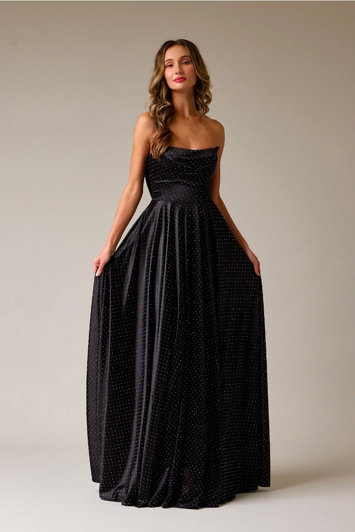 Bicici & Coty AN2501