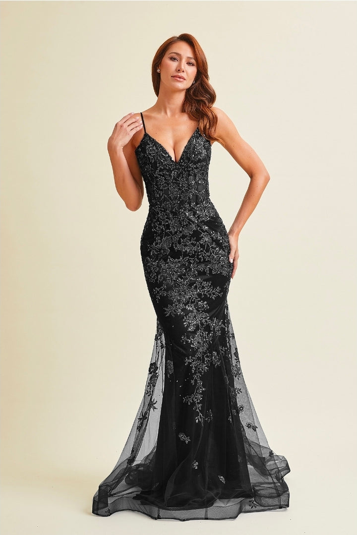 Bicici & Coty MZ5311