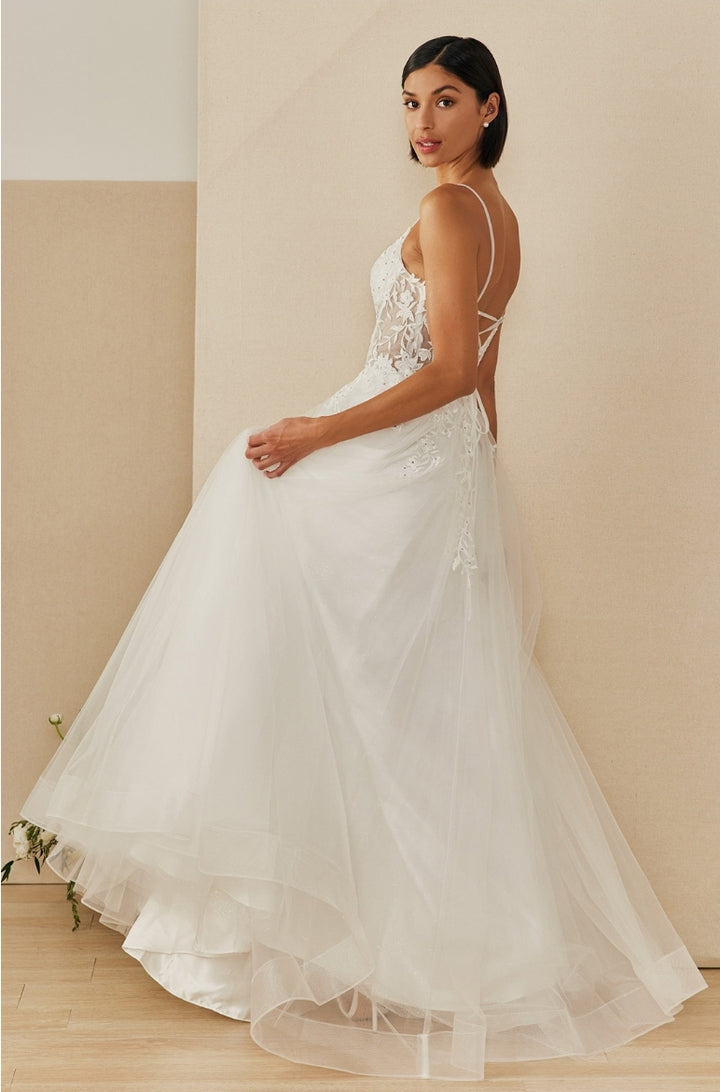 Bicici & Coty DAW531