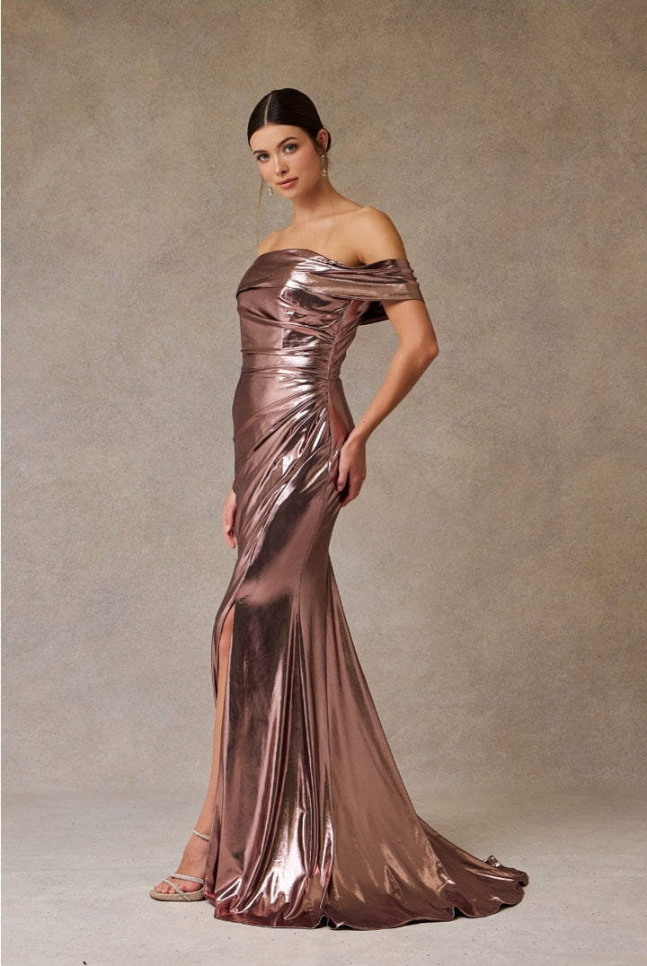 Bicici & Coty MZ5782 - Metallic Gown