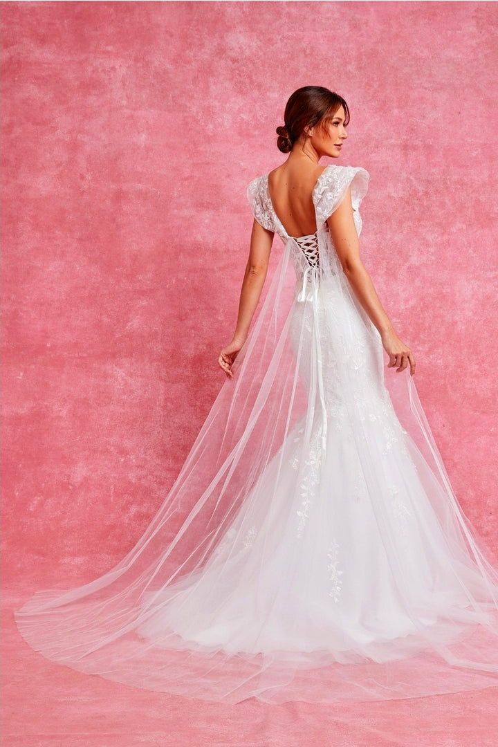 Bicici & Coty PSW5208