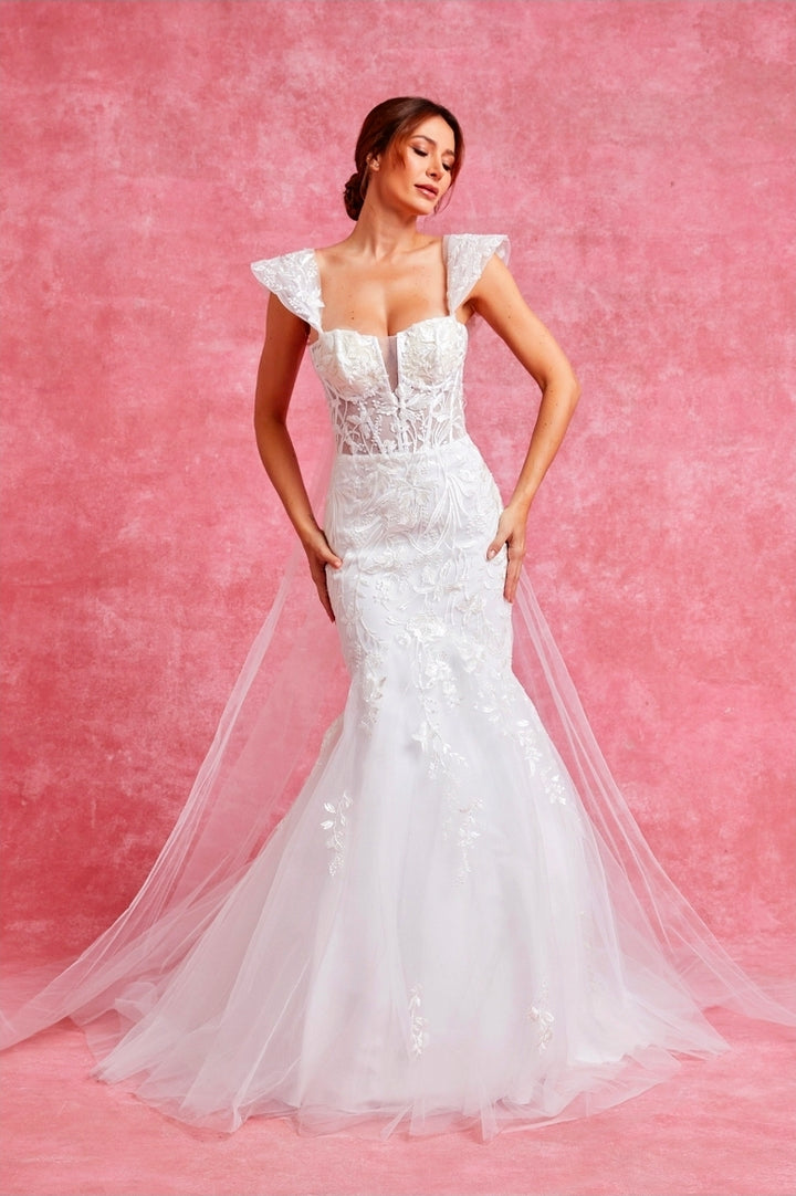 Bicici & Coty PSW5208