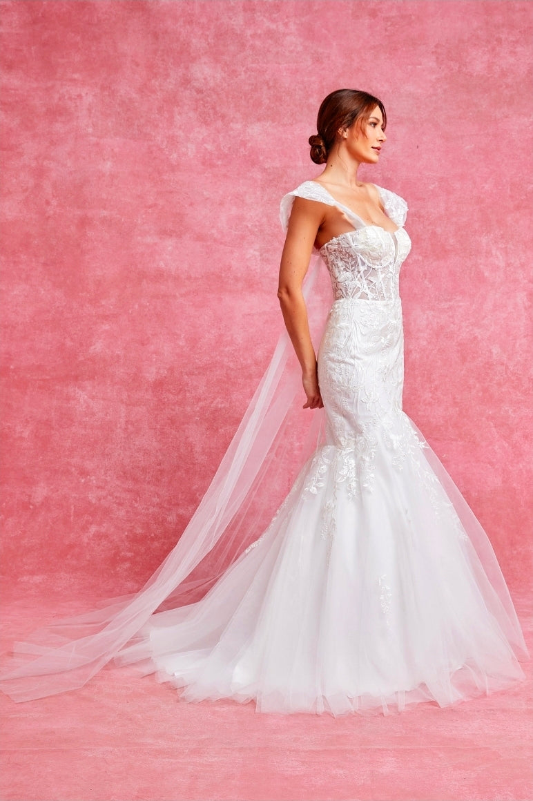 Bicici & Coty PSW5208