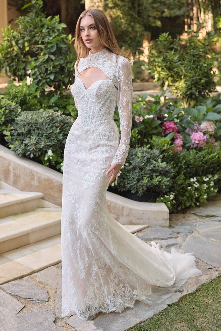 Andrea & Leo WL071 - Athena Lace Mermaid Gown