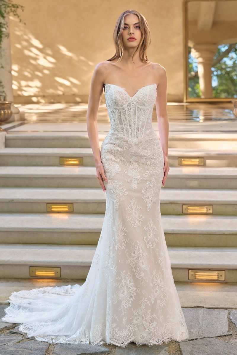 Andrea & Leo WL071 - Athena Lace Mermaid Gown