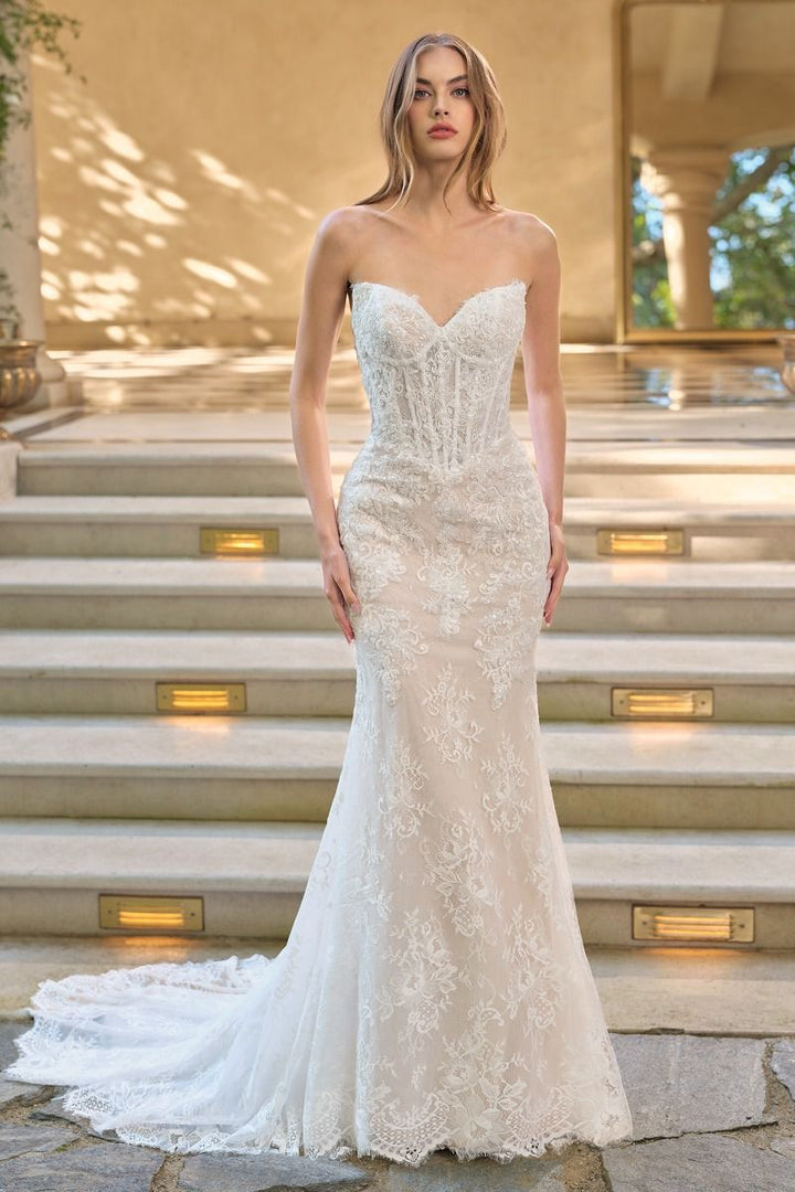 Andrea & Leo WL071 - Athena Lace Mermaid Gown