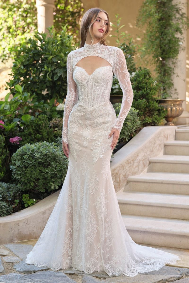 Andrea & Leo WL071 - Athena Lace Mermaid Gown