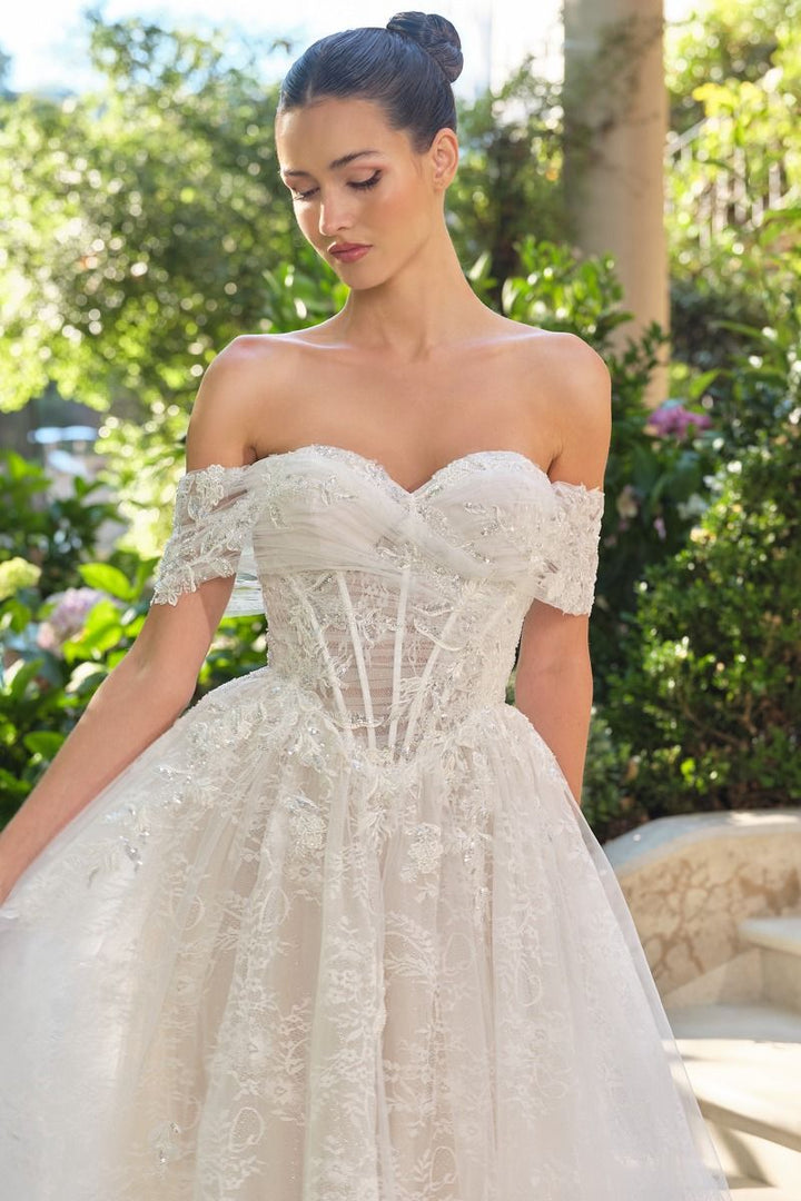 Andrea & Leo WL090 - Audrey Lace Ball Gown