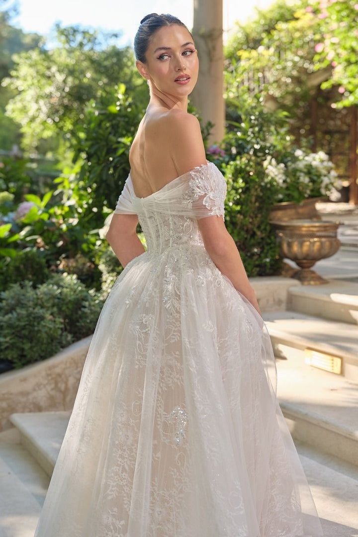 Andrea & Leo WL090 - Audrey Lace Ball Gown