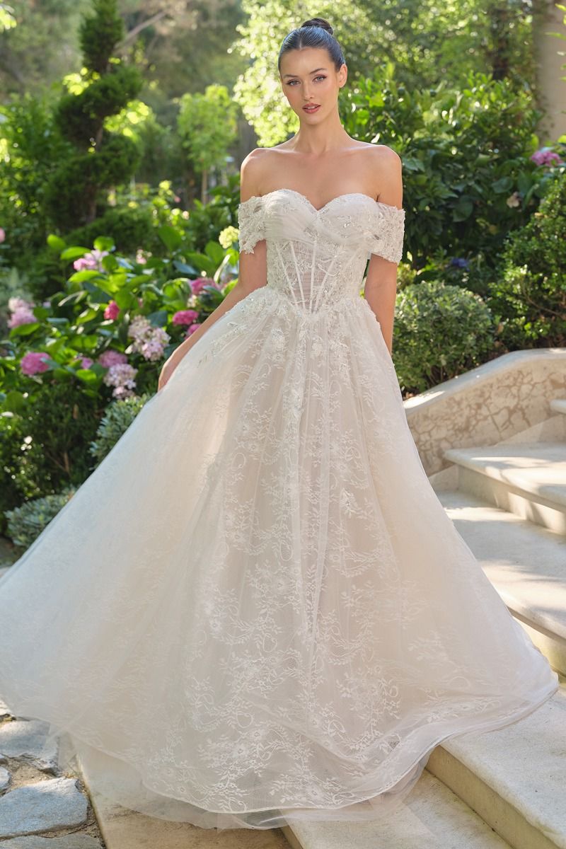 Andrea & Leo WL090 - Audrey Lace Ball Gown